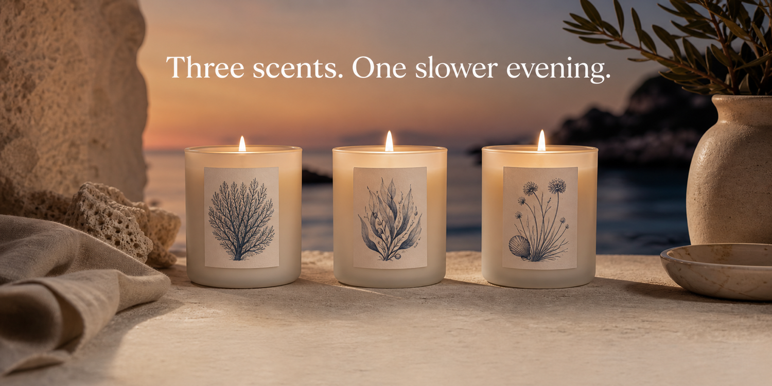 Harbor & Pine medium promotional creative